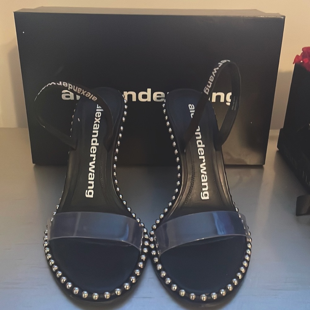Alexander Wang heels